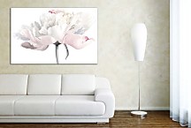 Obraz Pastelový kvet zs29165