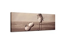 Moderná panoráma obraz zs18620