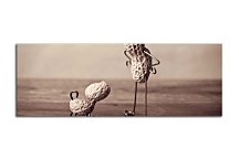 Moderná panoráma obraz zs18620