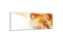 obraz panorámy Kvety zs3138