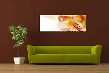 obraz panorámy Kvety zs3138