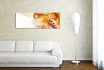 obraz panorámy Kvety zs3138