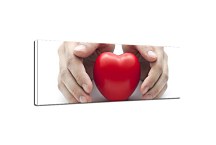 Moderné obrazy - Srdce v dlani zs18622