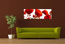 panorámy kvetov Obraz zs3137