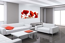 panorámy kvetov Obraz zs3137