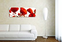 panorámy kvetov Obraz zs3137