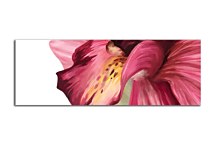 panorámy s kvetmi Obraz zs18502