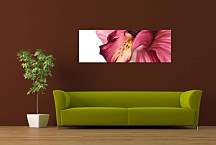 panorámy s kvetmi Obraz zs18502