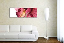 panorámy s kvetmi Obraz zs18502