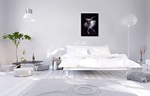 Performance - Obraz WDC92355