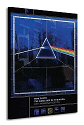 Pink Floyd (30th Anniversary) - Obraz WDC90278