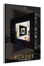 Pink Floyd (Echoes) - Obraz WDC90279