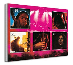 Pink Floyd (Live) - Obraz WDC92060