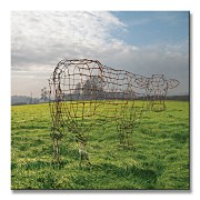 Pink Floyd (Wireframe Cow) - Obraz WDC95339