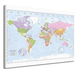 Political World Map - Obraz  WDC96116