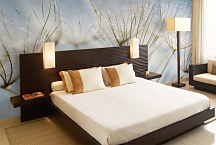 Púpava fototapeta 6861 - vinylová