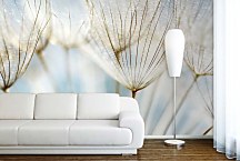 Púpava fototapeta 6861 - vinylová