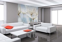 Púpava fototapeta 6861 - vinylová