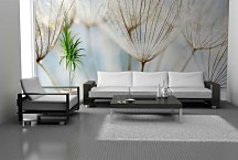 Púpava fototapeta 6861 - vinylová