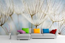 Púpava fototapeta 6861 - vinylová