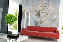 Púpava fototapeta 6861 - vinylová