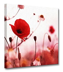 Poppies in red - Obraz CKS0153