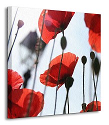 Obraz na plátne Červené maky CKS0177
