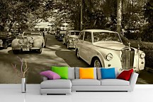 Retro autá Fototapeta 6579 - vinylová