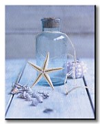 Seaside Treasure - Obraz WDC23140