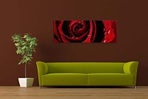 Ruža Panoráma obraz zs343