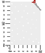 šablóna hviezdna obloha