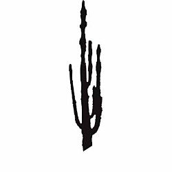 Šablóna na maľovanie - Kaktus tx16