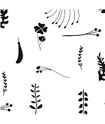 šablóna na textil botanical