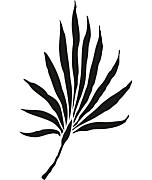 šablóna palmový list palm leaf palm tree