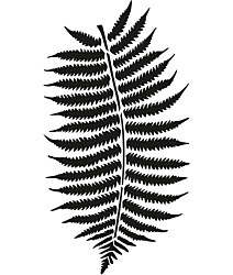 Šablóna Papraď ST265