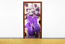 Samolepky na dvere 6840