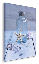 Seaside Treasure - Obraz WDC23140