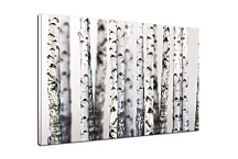 Škandinávsky Obraz Breza zs29201