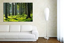 Obraz Slovenský les zs29076