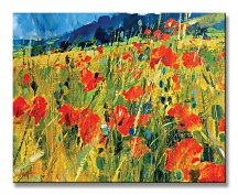 South Downs Poppies - Obraz WDC94476