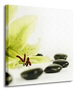 Zdrowie - Obraz na płótnie CKS0331