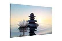 Spa obraz Lekno s kameňmi 29347