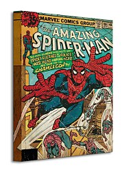 Spider-Man (Chameleon) - Obraz  WDC92176