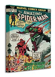 Spider-Man (Green Goblin) - Obraz WDC92205