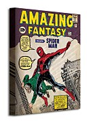 Spider-Man (Issue 1) - Obraz WDC92047