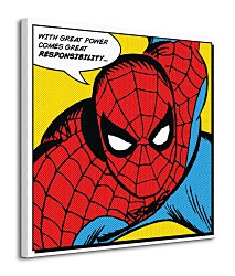 Spider-man (Quote) - Obraz WDC98054