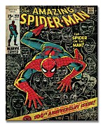 Spiderman (100th Anniversary) - Obraz WDC94597
