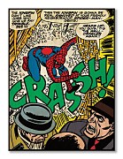 Spiderman (Crash) - Obraz WDC90941