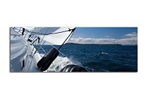 Športové obrazy zs297