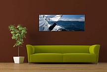 Športové obrazy zs297